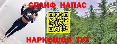Альфа ПВП Малгобек