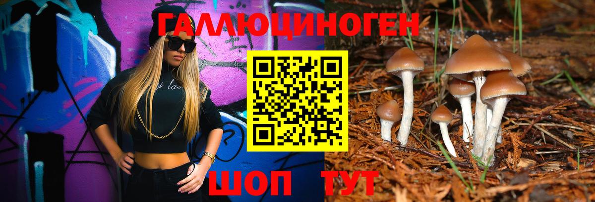 Псилоцибиновые грибы мицелий Ессентуки