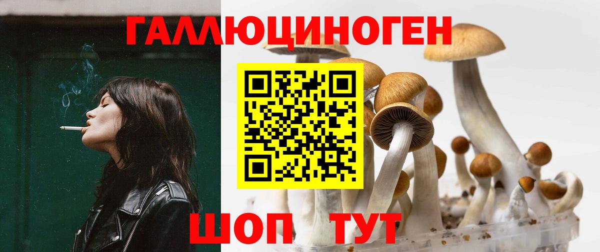 Ессентуки  Галлюциногенные грибы мицелий  Вход с VPN  Галлюциногенные грибы MAGIC MUSHROOMS 